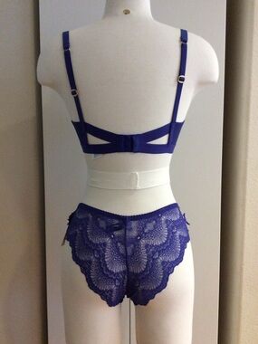 NWT Sam Edelman Cobalt Blue Lace Bra and Bikini set